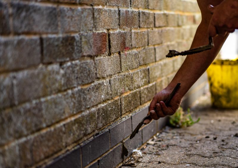 Repointing Technique